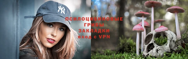 метадон Касимов