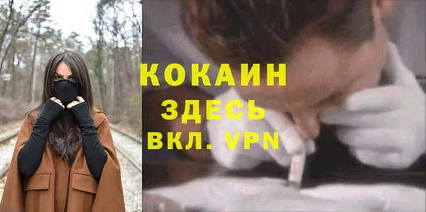 метадон Касимов
