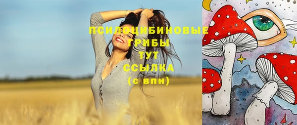 метадон Касимов